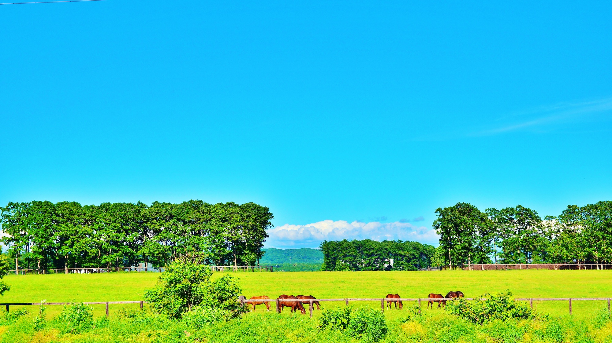 苫小牧の風景